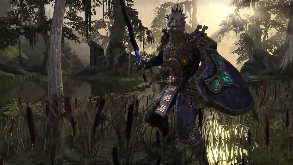 image argonian warrior jpg elder scrolls fandom powered by wikia elder scrolls online file size