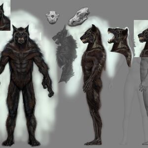 Werewolf Skyrim Elder Scrolls Fandom
