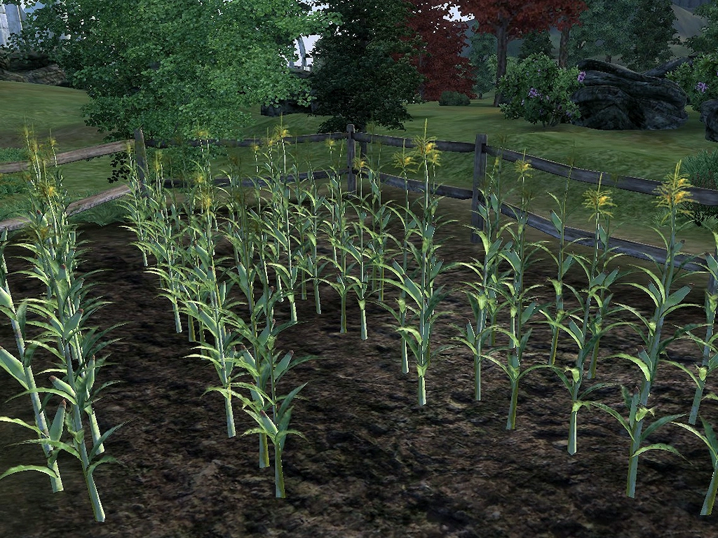 Crops Elder Scrolls FANDOM powered by Wikia