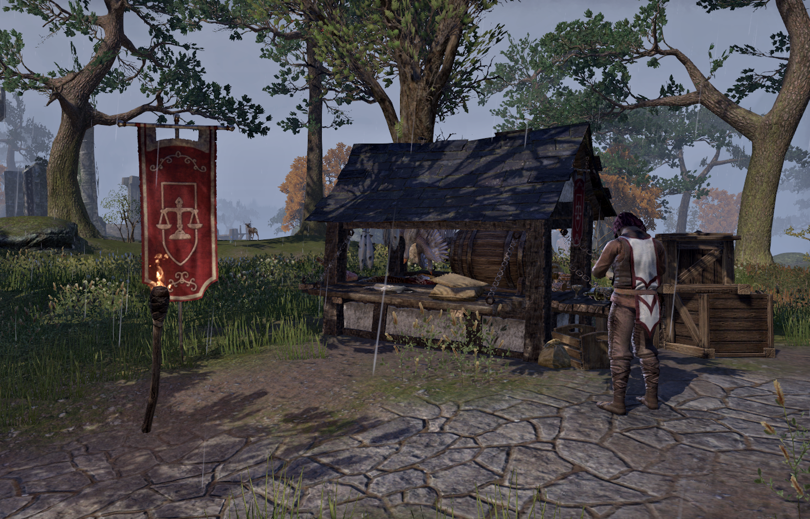 Guild Traders Stormhaven Elder Scrolls Fandom