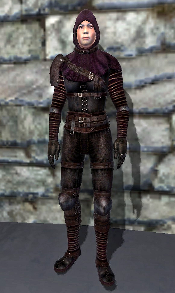 Oblivion heavy armor trainer