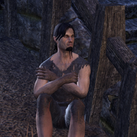 Lazy Ludippe Elder Scrolls Fandom