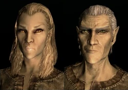 SepLnUp Altmer b1&amp;c1