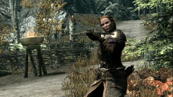 Dawnguardcrossbow.png