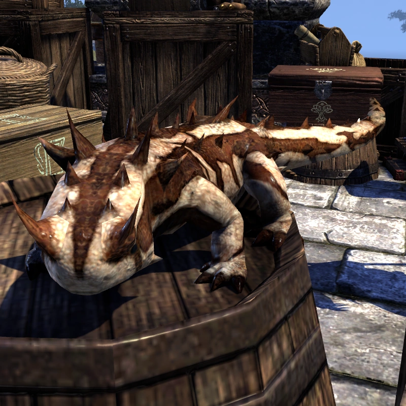 Hammerfell Creatures Elder Scrolls FANDOM powered