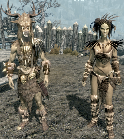 File:Forsworn Armor Full.png