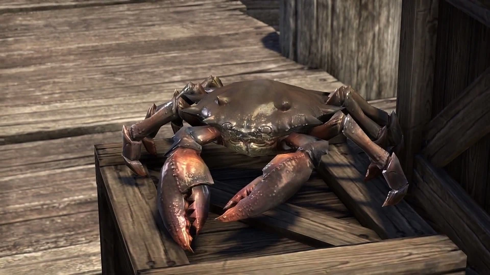 Image Mudcrab Vanity Pet.jpg Elder Scrolls FANDOM powered by Wikia
