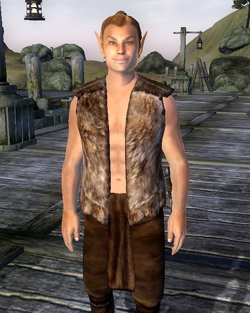 What Armor/Attires would you like to see taken from Oblivion and Skyrim and  added to Eso? — Elder Scrolls Online