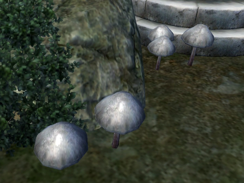 SteelBlue Entoloma Cap Elder Scrolls FANDOM powered by Wikia