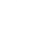 UI Icon Categories Fire