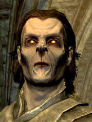 Distorsione Dawnguard