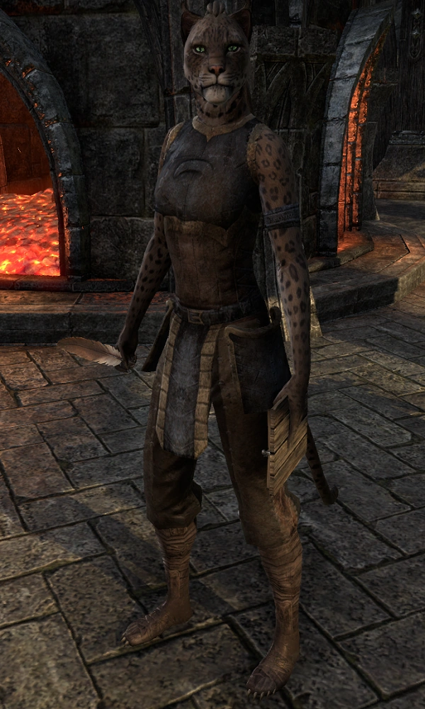 Elite Gear Vendors Elder Scrolls Fandom