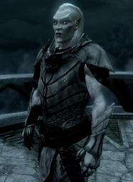 Elfo da Neve-0