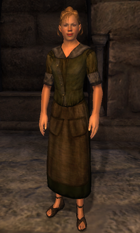 File:TESIV Character AnvilServant.png