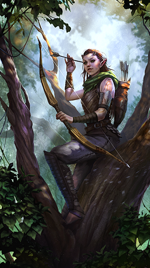Bosmer Elder Scrolls Fandom