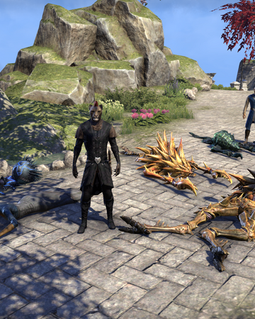 The Queen S Decree Elder Scrolls Fandom