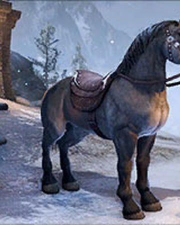 Gray Yokudan Charger Elder Scrolls Fandom