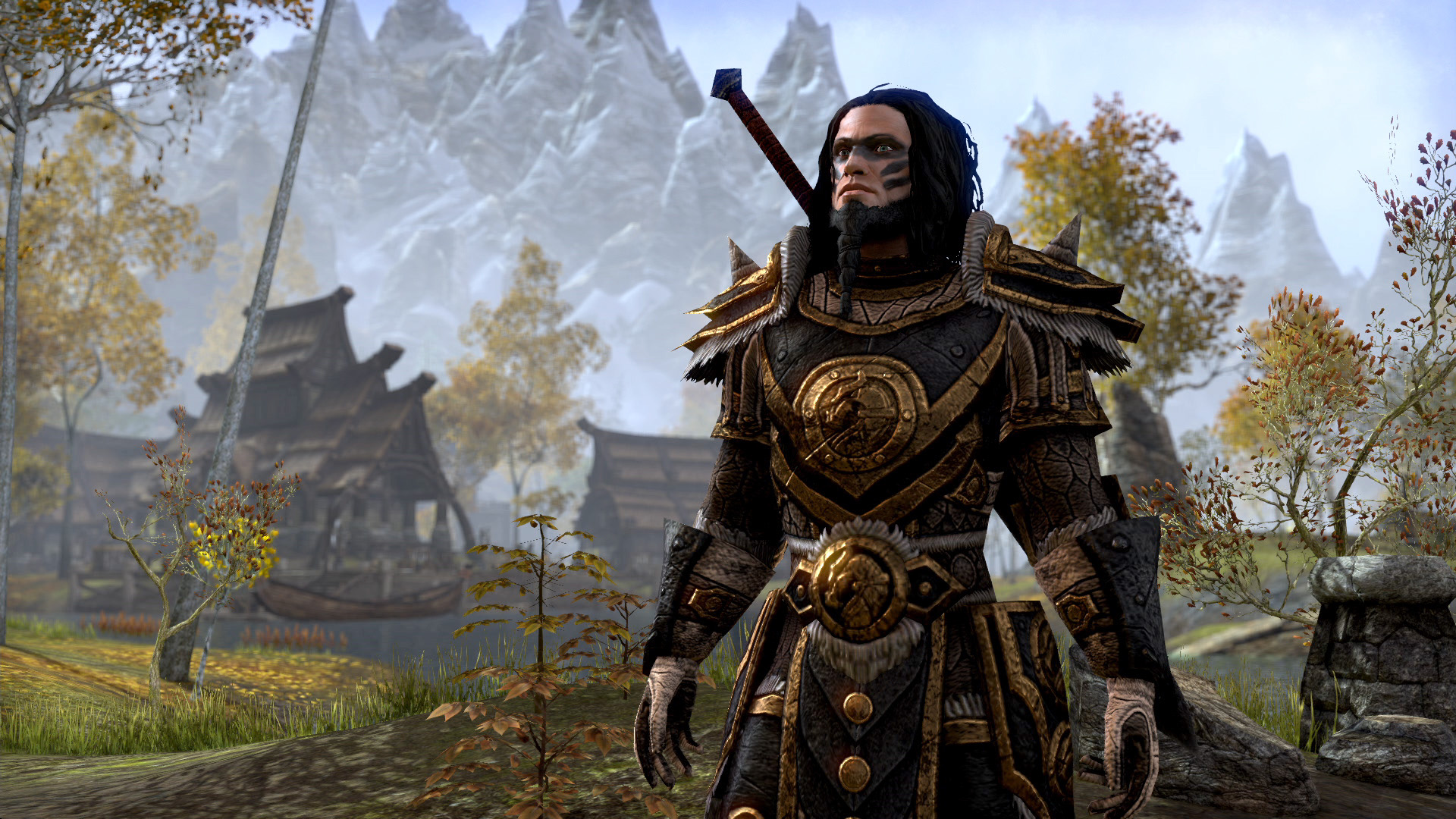 Image result for nord style eso