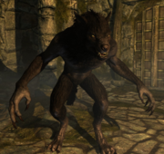 Werewolf 2
