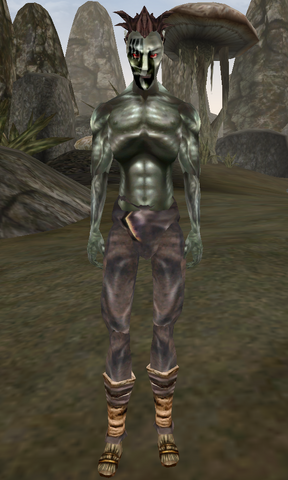 File:Zenabi Samma.png