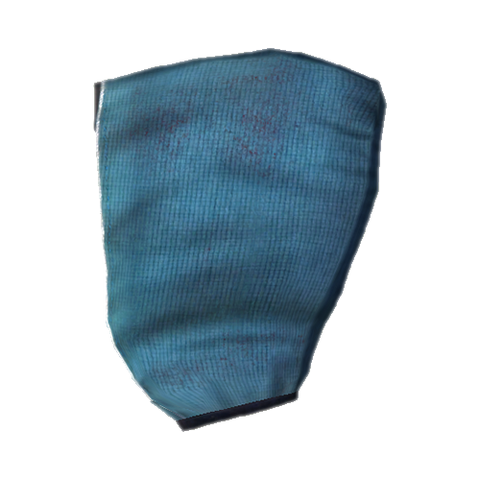 File:MagehoodOblivion.png