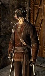 Skyrim Histskin