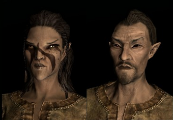 Bosmer Elder Scrolls Fandom