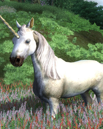 Unicorn Oblivion Elder Scrolls Fandom