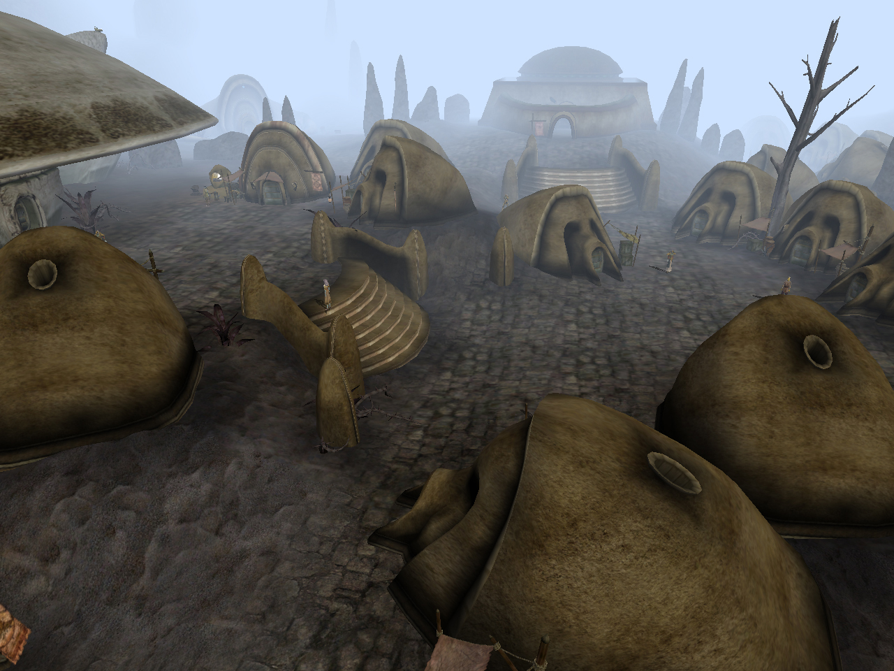 Morrowind маг гайд