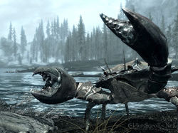 Granchio Skyrim