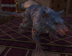 Sotha