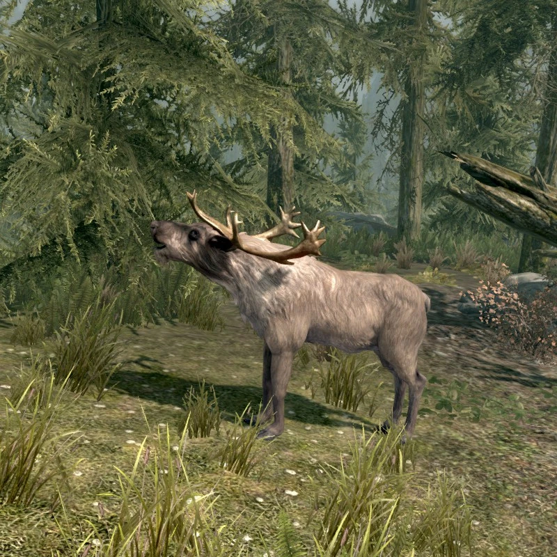 Bugling Elk Elder Scrolls Fandom