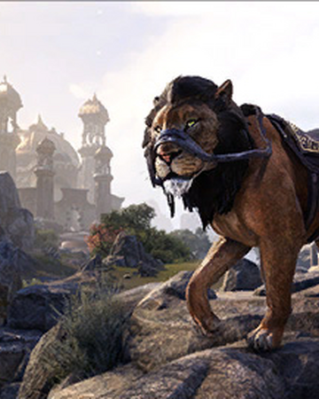Black Mane Lion Elder Scrolls Fandom