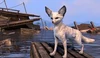 Arctic Fennec Fox