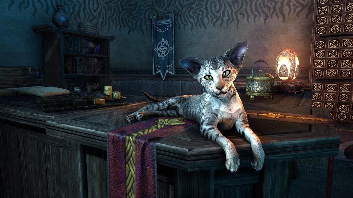 skyrim mage guild quest skyrim mage guild quest