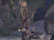 Category Online Bangkorai Characters Elder Scrolls Fandom