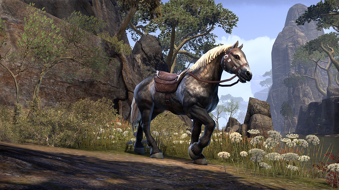 dapple gray palfrey elder scrolls fandom powered by wikia