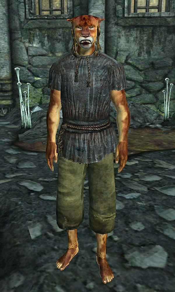 oblivion game the shivering isles defend the realm oblivion game the shivering isles defend the realm