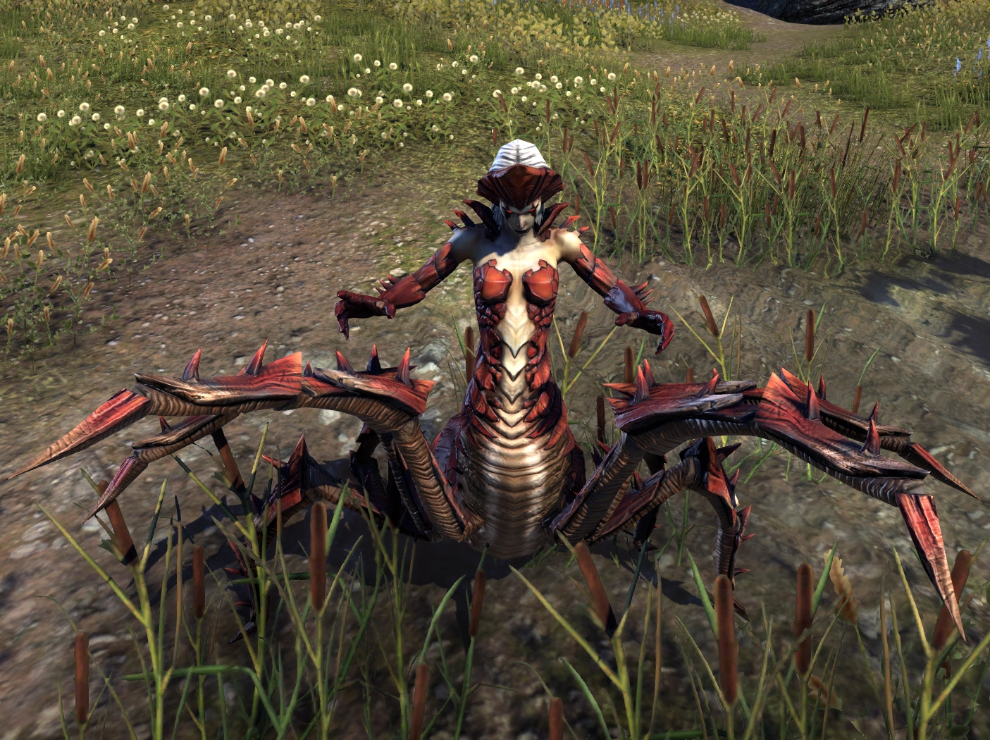 Spiderling Elder Scrolls Fandom