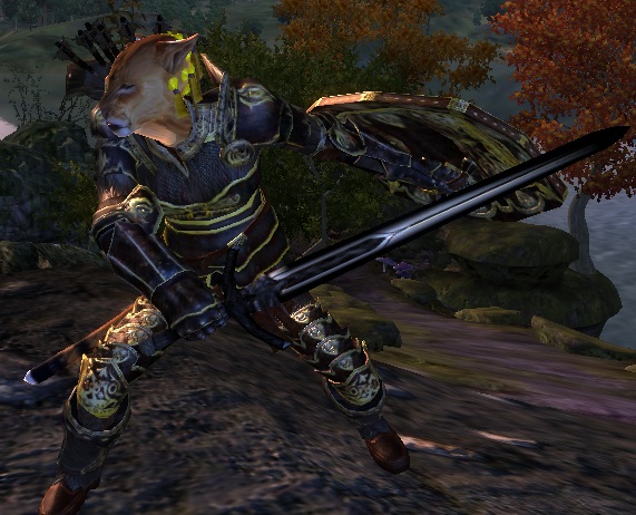 oblivion character overhaul khajiit oblivion character overhaul khajiit