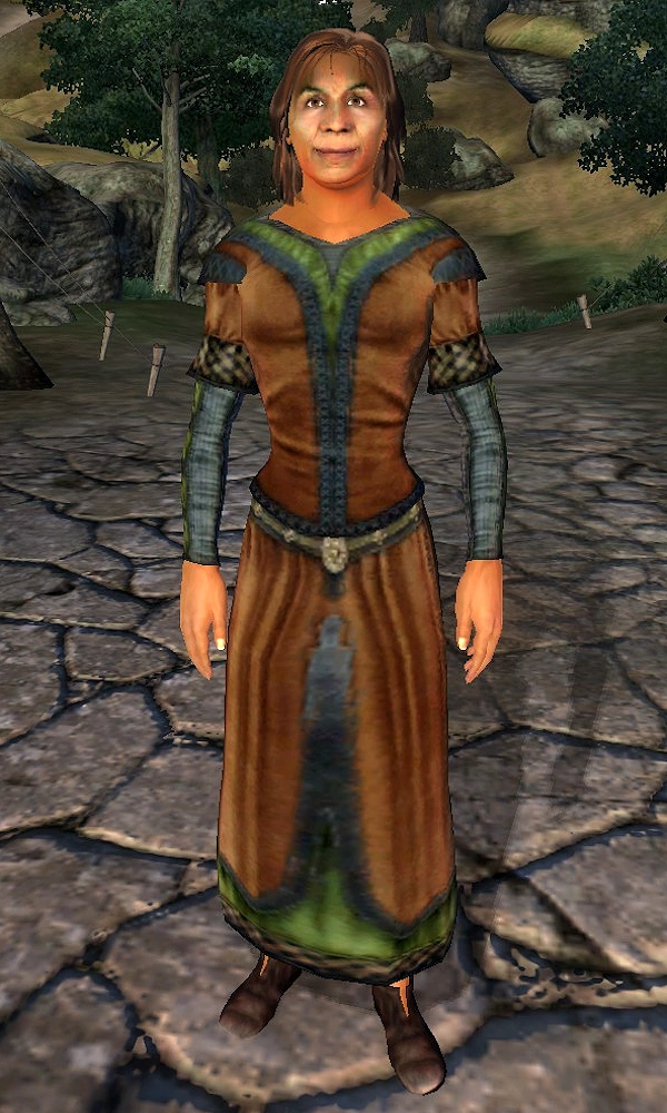 Restoration Training Elder Scrolls FANDOM powered by Wikia