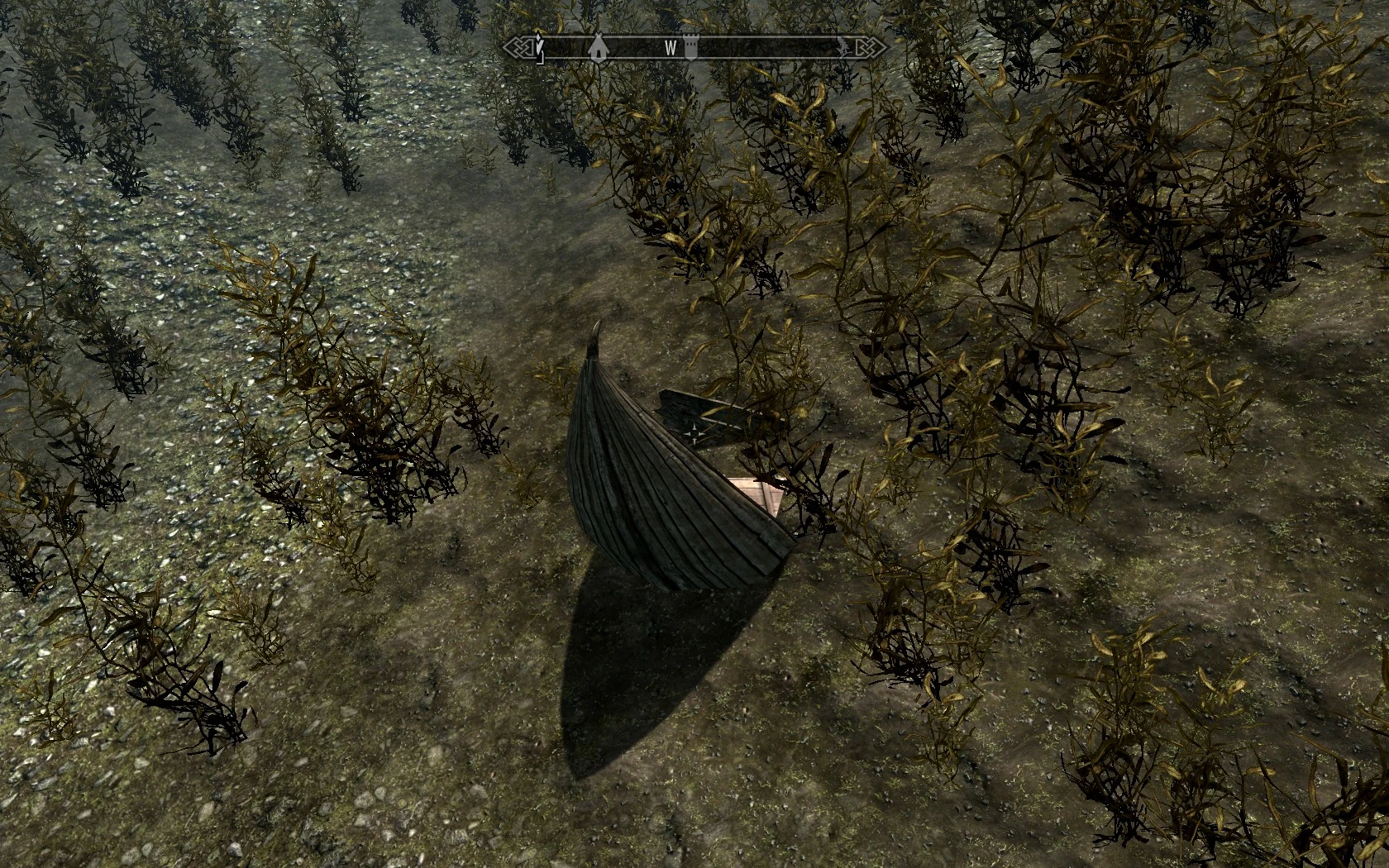 Quill of Gemination Elder Scrolls FANDOM powered by Wikia