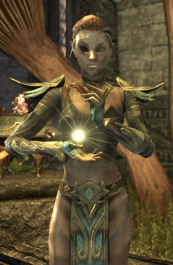 Elder Scrolls Oblivion Marriage Elder Scrolls Oblivion Marriage