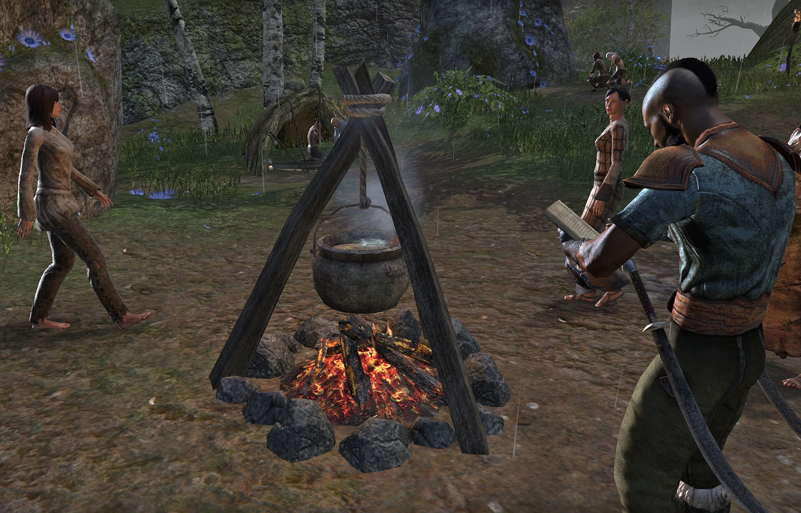 Cooking Fire Elder Scrolls FANDOM powered by Wikia