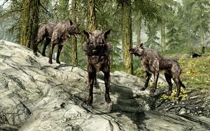 830px-3wolves