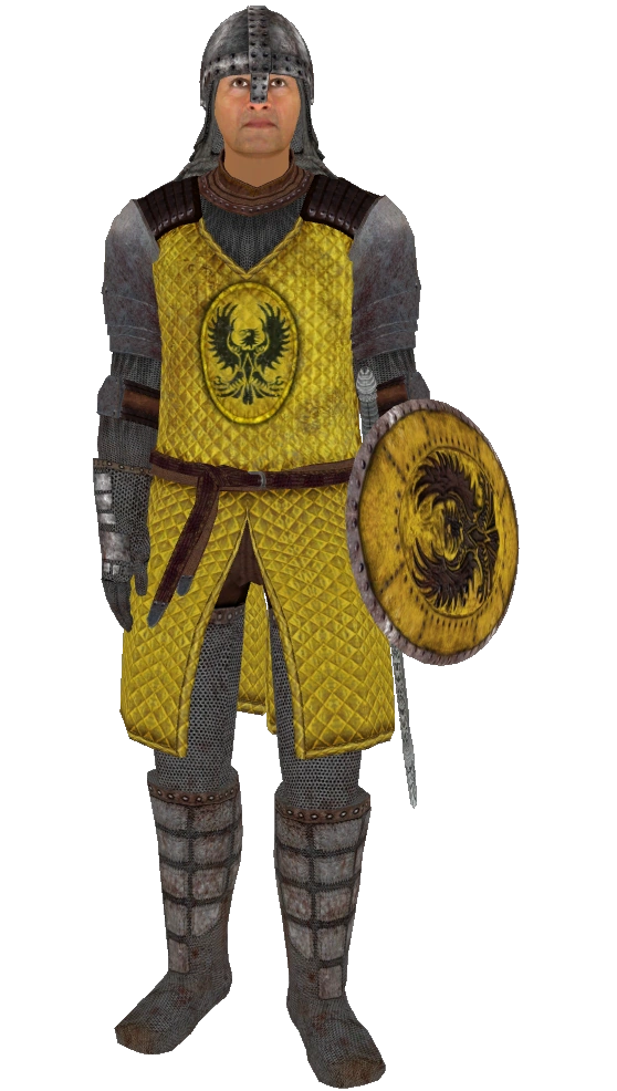 Bruma Guard [TESOblivion] Minecraft Skin