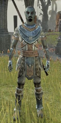 File:Frostedge Bandit Disguise.jpeg