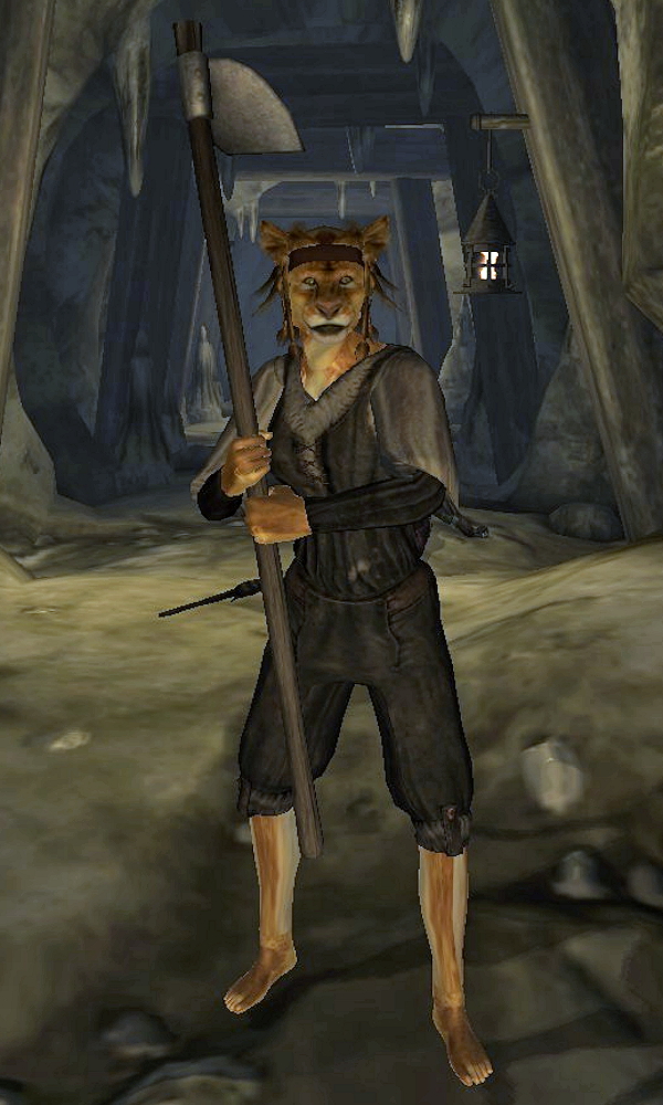 eso best class for khajiit 2019 eso best class for khajiit 2019