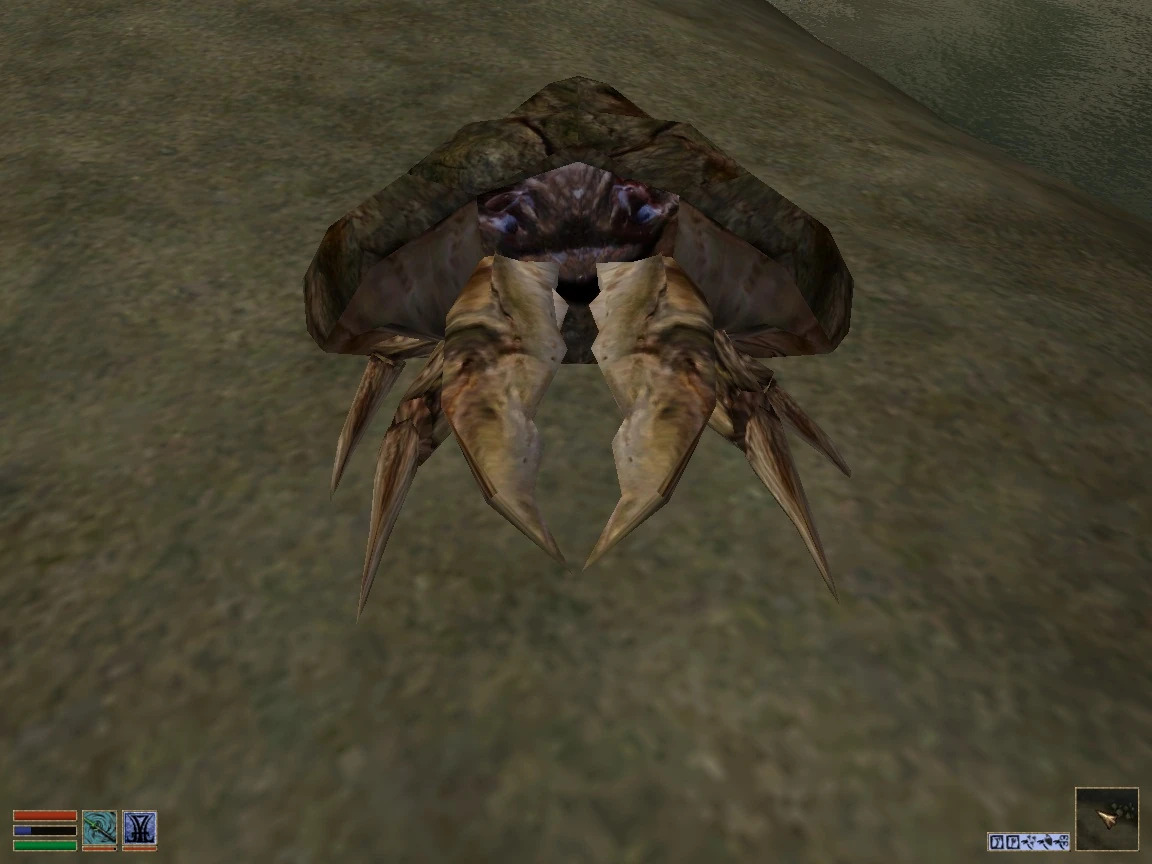 Image result for morrowind crab merchant