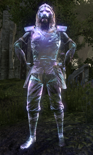 Rajhin's Shadow (Online)